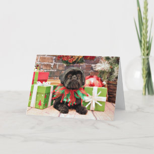 Christmas - Shih Tzu - Lily Holiday Card