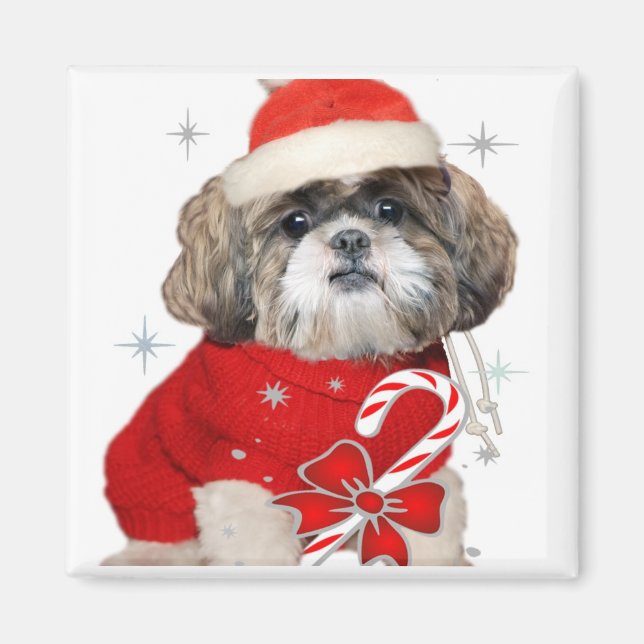 Christmas Shih Tzu Magnets (Front)