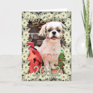 Christmas - Shih Tzu - Marley Holiday Card