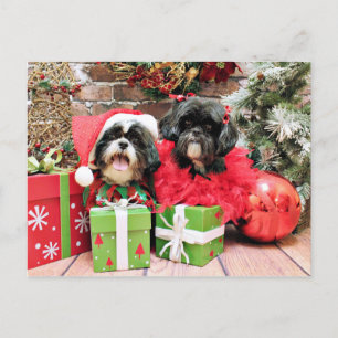Christmas - Shih Tzu - Riley and Ruffles Holiday Postcard