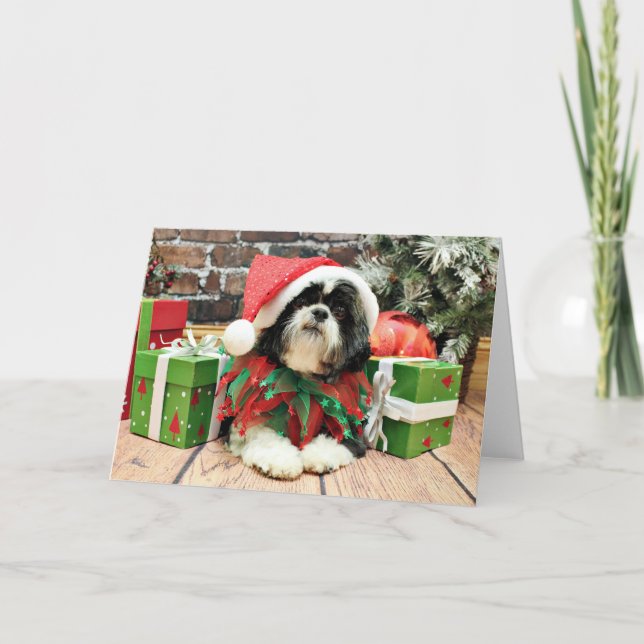 Christmas - Shih Tzu - Riley Holiday Card (Front)