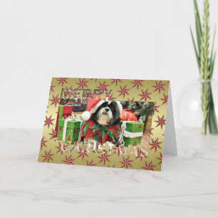 Christmas - Shih Tzu - Riley Holiday Card