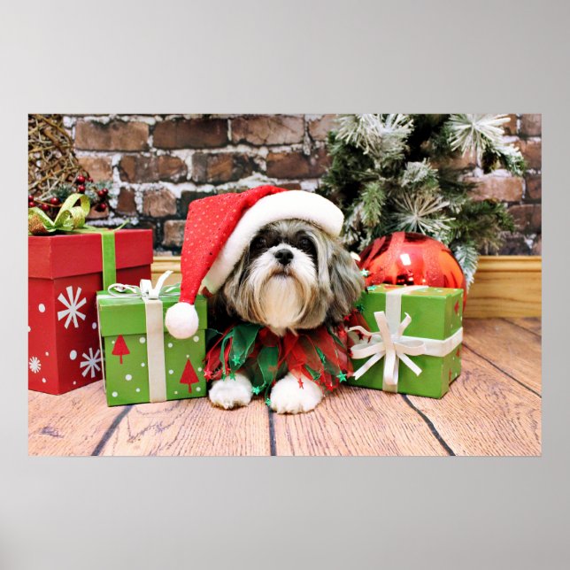 Christmas - Shih Tzu - Vince Poster (Front)