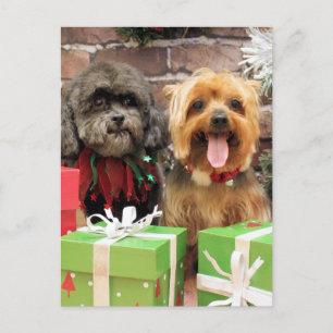 Christmas - Shih Tzu X Maggie - Yorkie Pixie Holiday Postcard