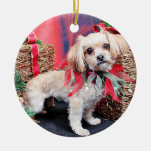 Christmas - Shorkie - Charlie Ceramic Tree Decoration
