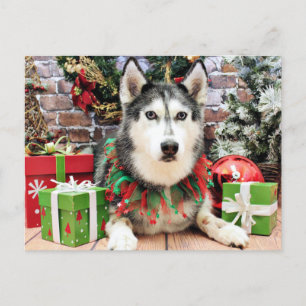 Christmas - Siberian Husky - Nika Holiday Postcard
