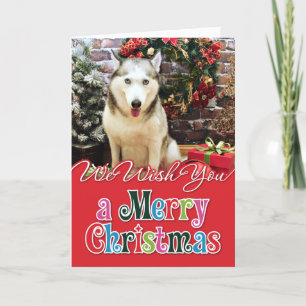 Christmas - Siberian Husky - Teagarden Portraits Holiday Card