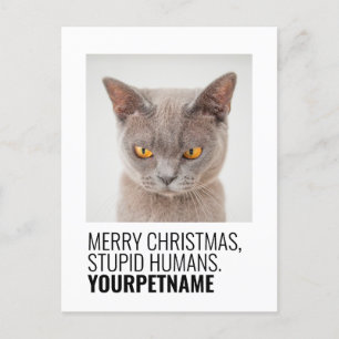 Christmas Simple Funny Pet Name Photo Postcard