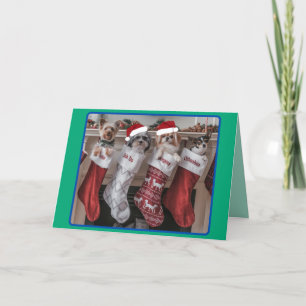 Christmas Small Dog Mantle Folded Holiday Card