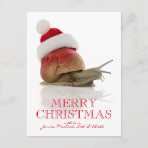 Christmas Snail Holiday Postcard