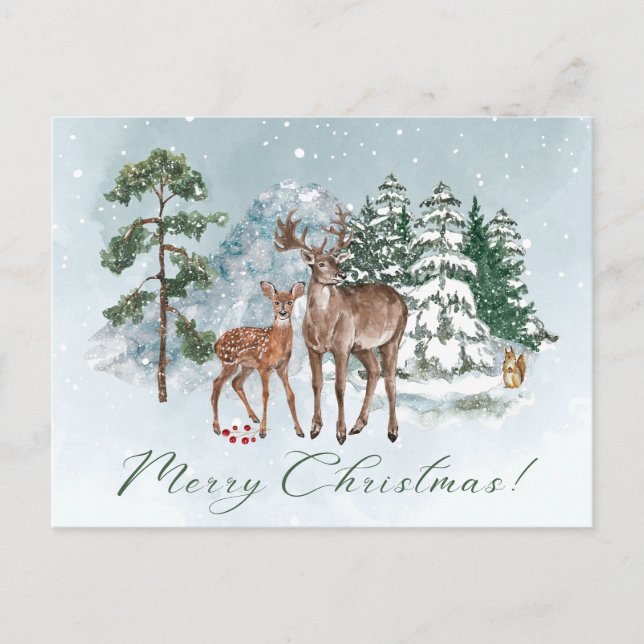 Christmas Snow in the Woods Nature  Postcard (Front)
