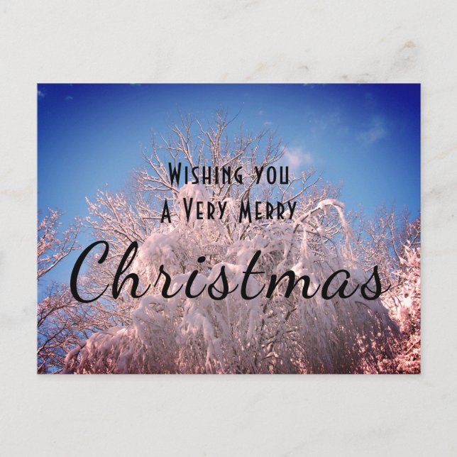 Christmas Snow Trees ! Postcard (Front)