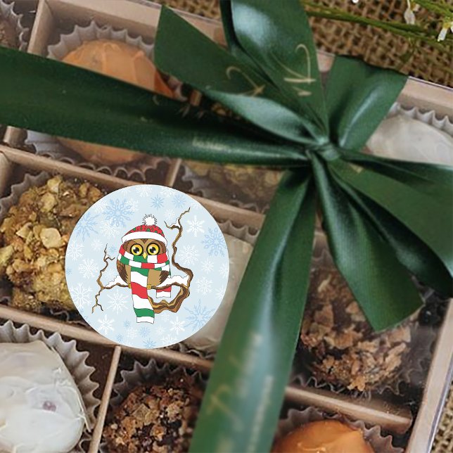 Christmas Snowflake Owl Classic Round Sticker (Creator Uploaded)