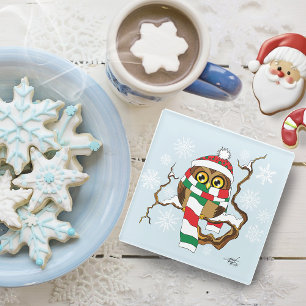 Christmas Snowflake Owl Glass Coaster