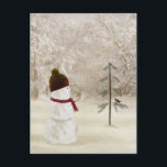 Christmas Snowman With Gold Star Postcard<br><div class="desc">Cute snowman holding a gold star in winter woods with pine tree and bird.</div>