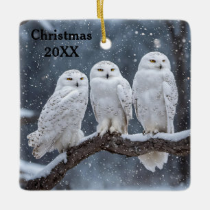 Christmas Snowy Owls Ceramic Ornament