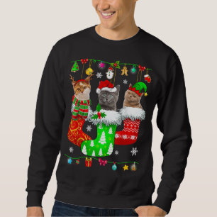 Christmas Socks Pajama Cat Kitten Lover Cat Mum Ca Sweatshirt