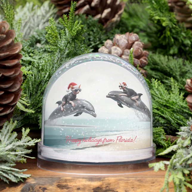 Christmas Sphynx Riding Dolphin Snowglobe (Winter)