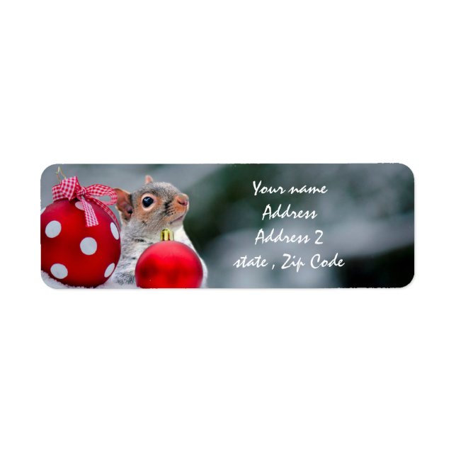 Christmas squirrel address labels (Front)