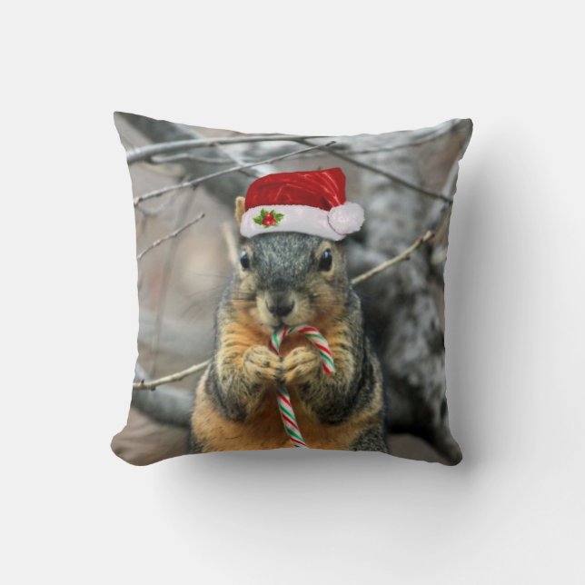 Christmas squirrel cushion (Front)