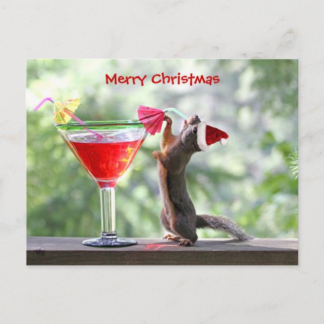 Christmas Squirrel Drinking a Cocktail Holiday Postcard (Front)