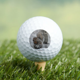 Christmas Squirrel Golf Balls