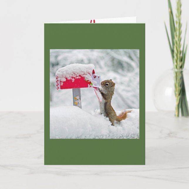 Christmas Squirrel Holiday Card (Front)