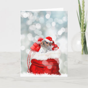 Christmas  squirrel holiday card
