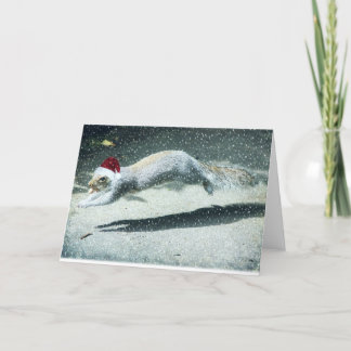 Christmas Squirrel Holiday Card