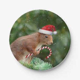 Christmas squirrel holiday party paper plates
