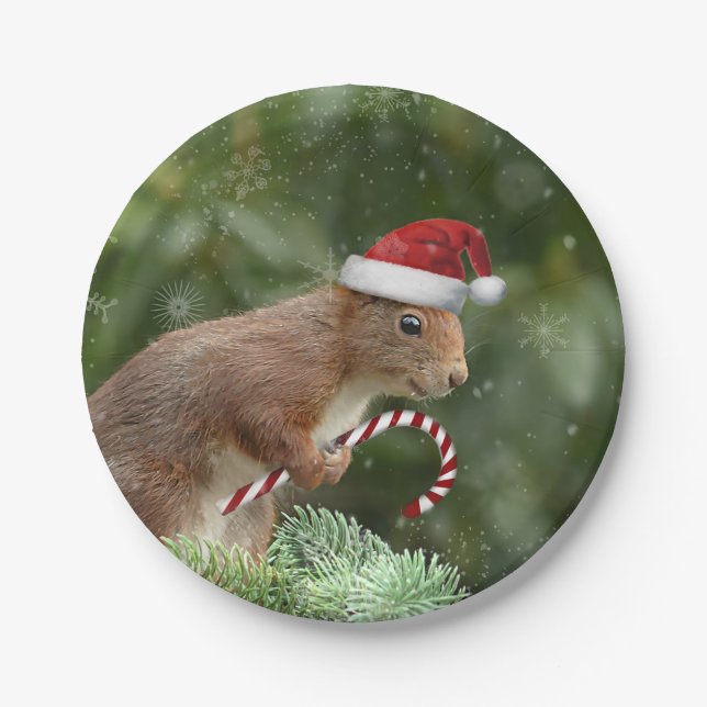 Christmas squirrel holiday party paper plates (Front)