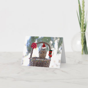 Christmas Squirrel in Snowy Basket Holiday Card