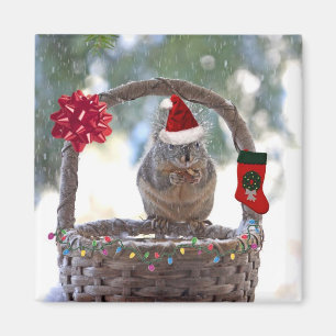 Christmas Squirrel in Snowy Basket Magnet