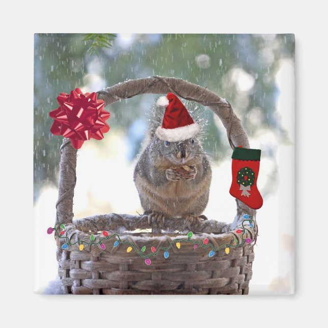 Christmas Squirrel in Snowy Basket Magnet (Front)