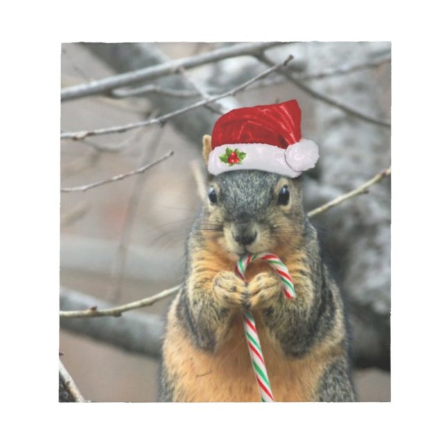 Christmas Squirrel Notepad (Front)