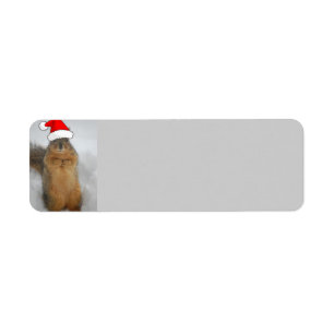 Christmas Squirrel Return Address Label