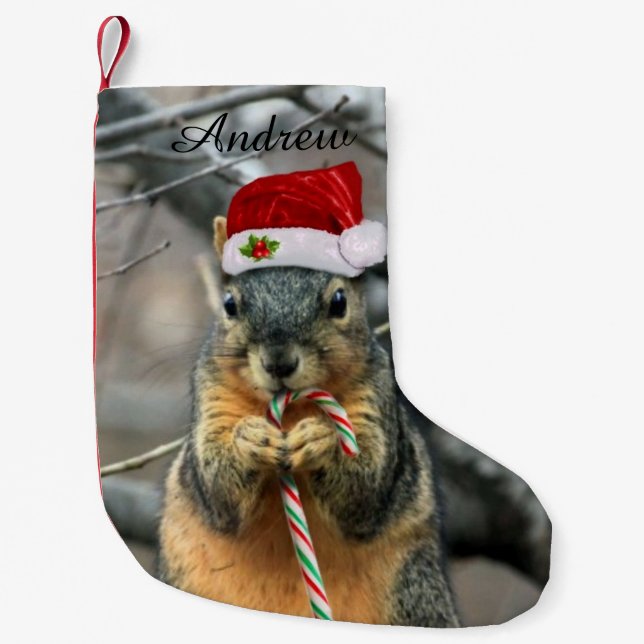 Christmas Squirrel Small Christmas Stocking (Front)