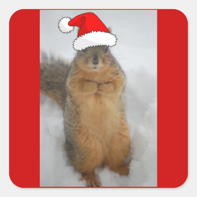 Christmas Squirrel Square Sticker (Front)