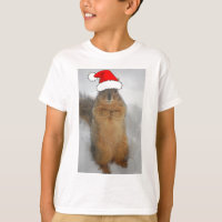 Christmas Squirrel