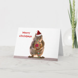 Christmas Squirrel with Candy Cane Holiday Card
