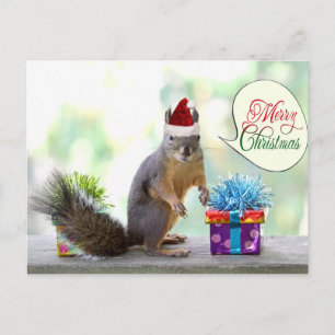 Christmas Squirrel with Christmas Presents Holiday Postcard