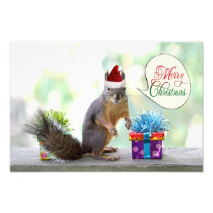 Christmas Squirrel with Christmas Presents Photo Print
