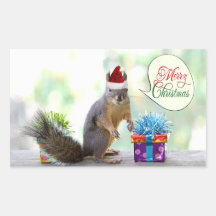 Christmas Squirrel with Christmas Presents