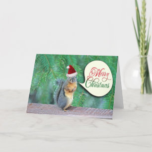 Christmas Squirrel with Evergreen Tree Background Holiday Card