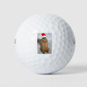Christmas Squirrel with Santa Golf Balls