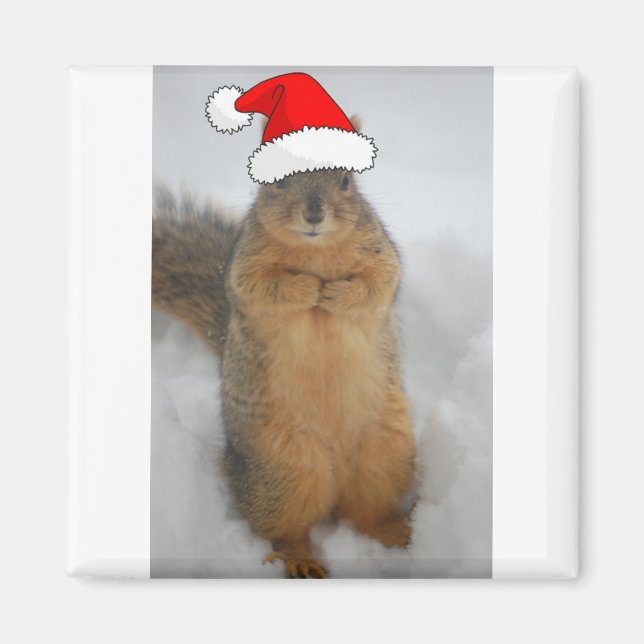 Christmas Squirrel with Santa Magnet (Front)
