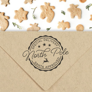 Christmas Stamp Special Delivery Santa Claus Stamp