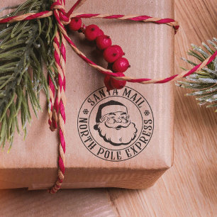 Christmas Stamp Special Delivery Santa Claus Stamp