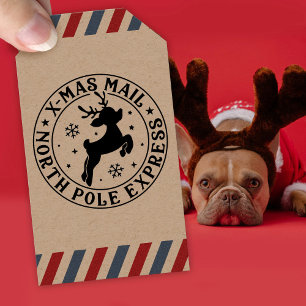 Christmas Stamp Special Delivery Santa Claus Stamp