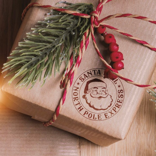 Christmas Stamp Special Delivery Santa Claus Stamp (Creator Uploaded)